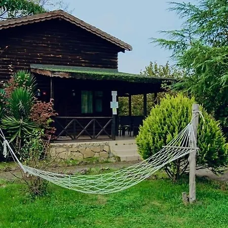Secret Yard Log Villa, On The River Bank!