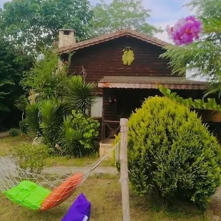 Secret Yard Log Villa, On The River Bank! Chalé *