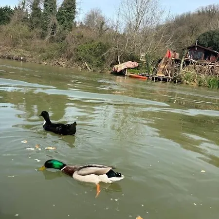 Secret Yard Log Villa, On The River Bank!